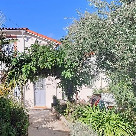 Studio Avec Jardin A 10 Mn A Pied Du Centre Ville Toulouse Extérieur photo